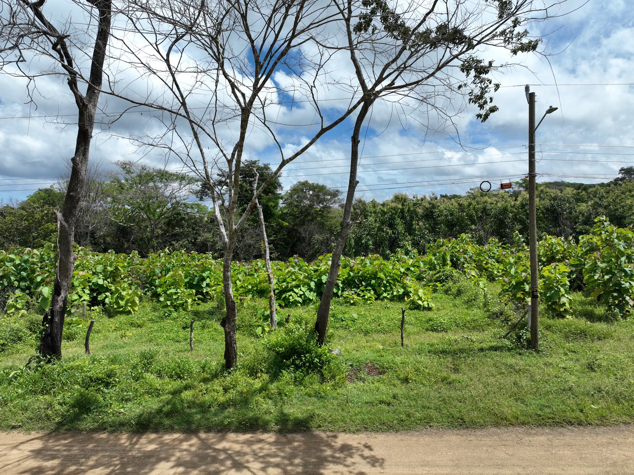 Lot #4 Rancho Pinilla | Mixed-Use Lot in San José de Pinilla - Playa Avellanas!