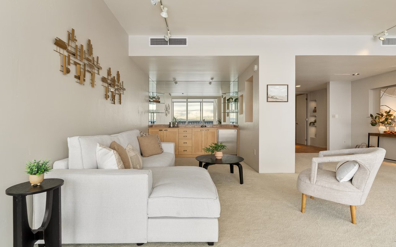 Find a Dog a Home: Meet Van Gogh