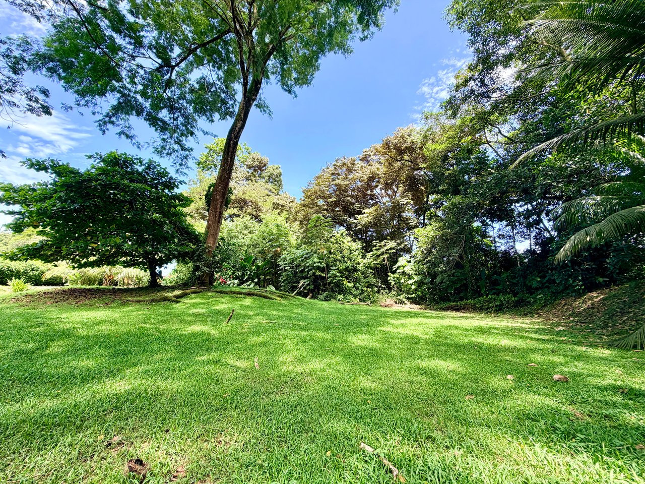 Riverside Cabin in Uvita | 0.98-Acre Estate with Room to Expand