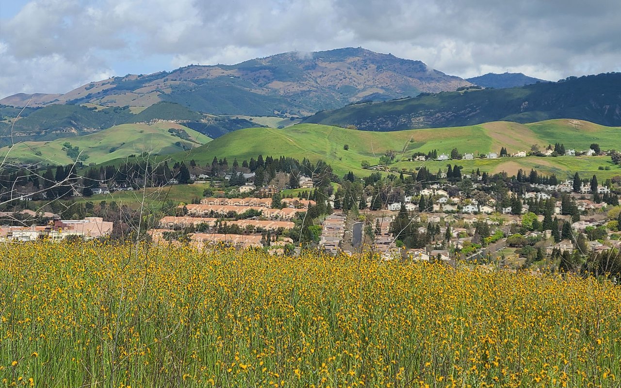 Beyond the Price Tag: The Real Value of Danville