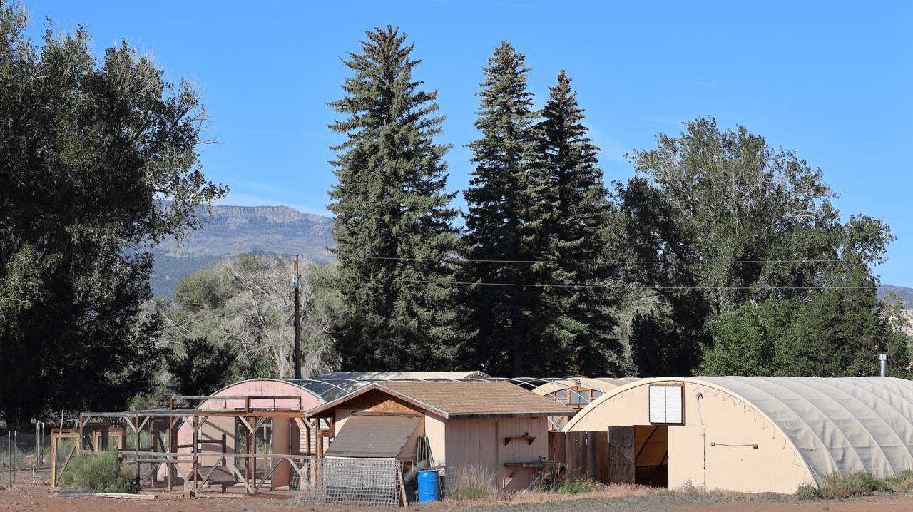 Torrey Land & Greenhouses