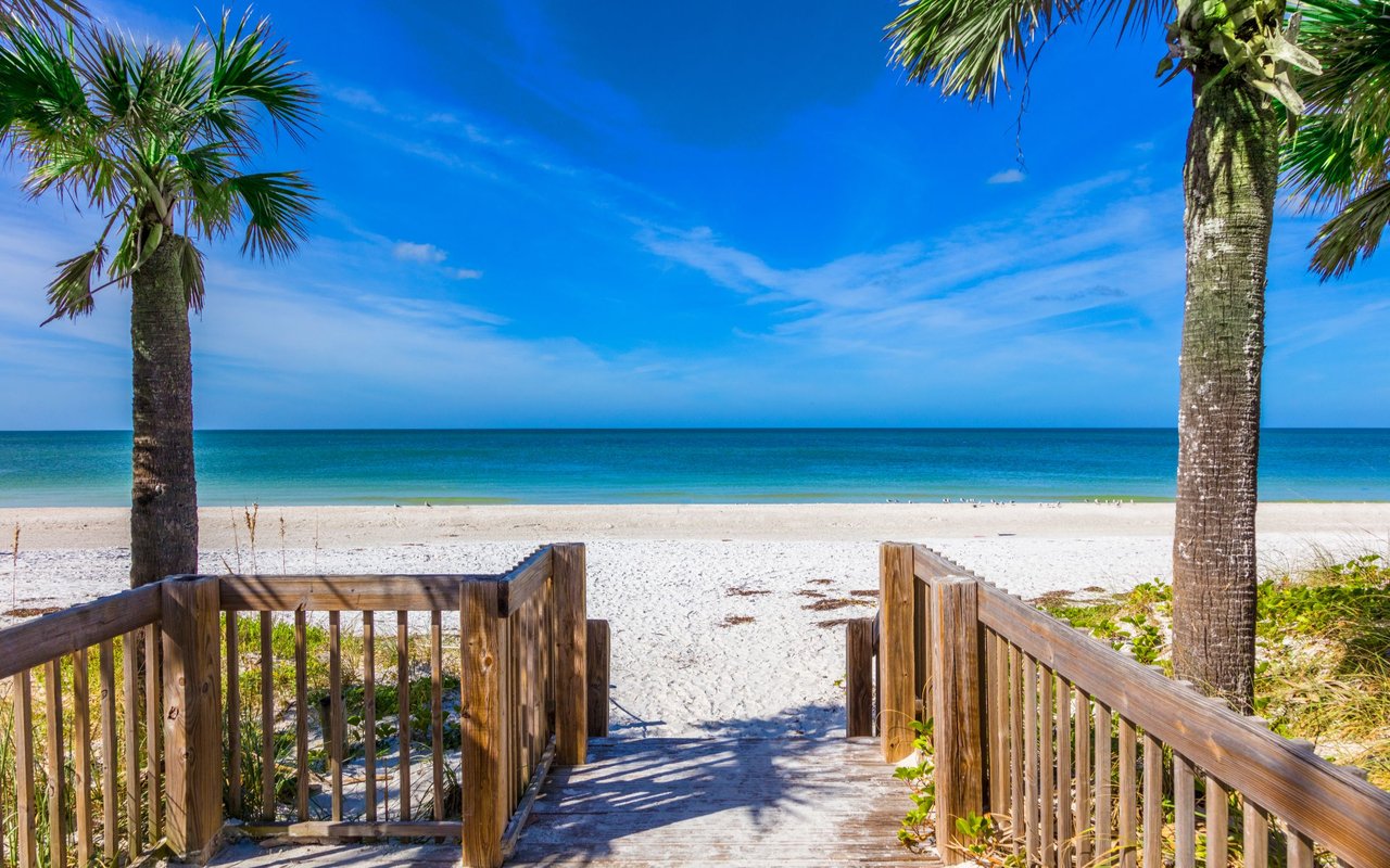 contact-form-background