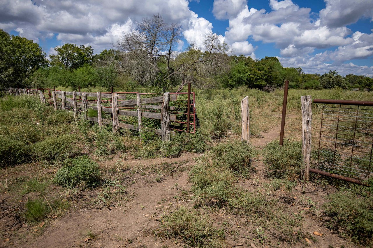 Lovers Lane River Ranch | 140± Acres | DeWitt County