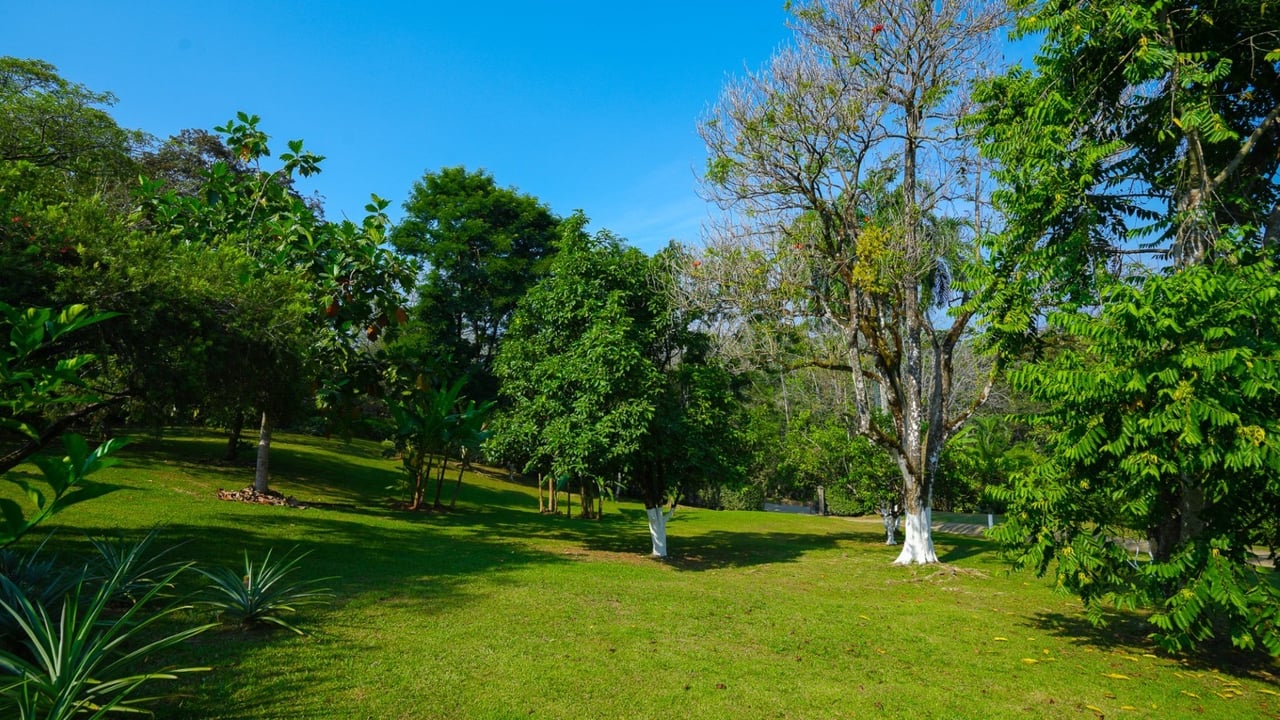 Stunning 2-Bedroom, 2-Bathroom Home with Pool on a Spacious Lot in Ojochal – Calle Papagayo