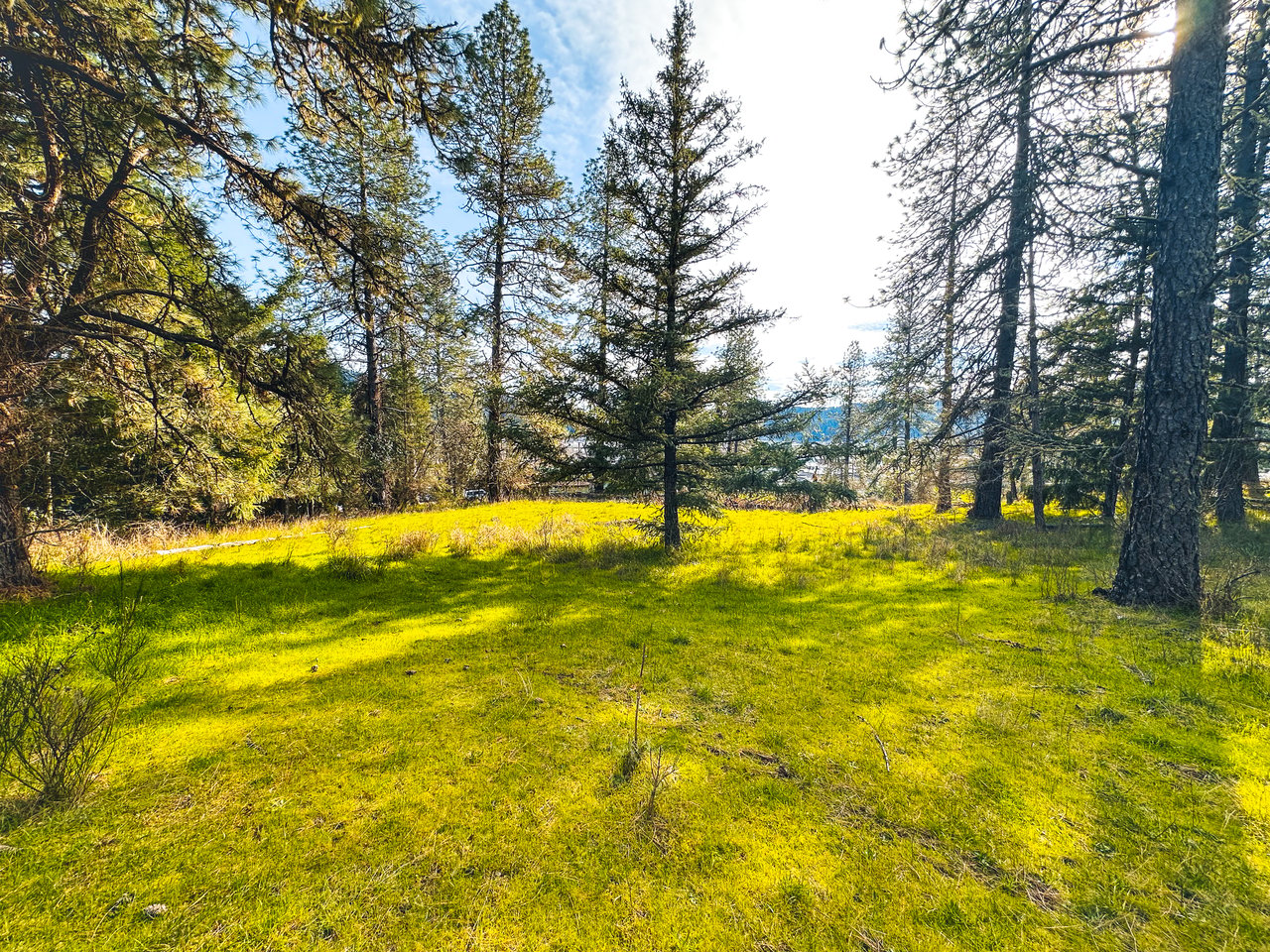 SUTHERLIN WOODLOTS
