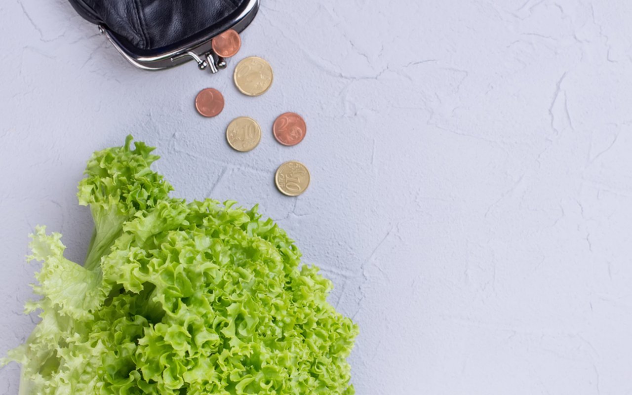 Organic Food on a Budget