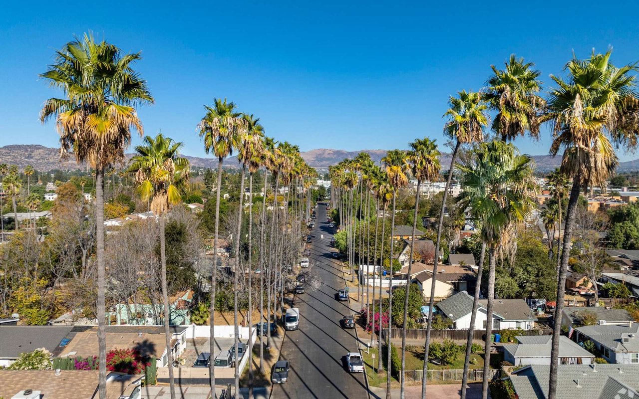 Canoga Park neighborhood palm tree lined street aerial view San Fernando Valley Los Angeles