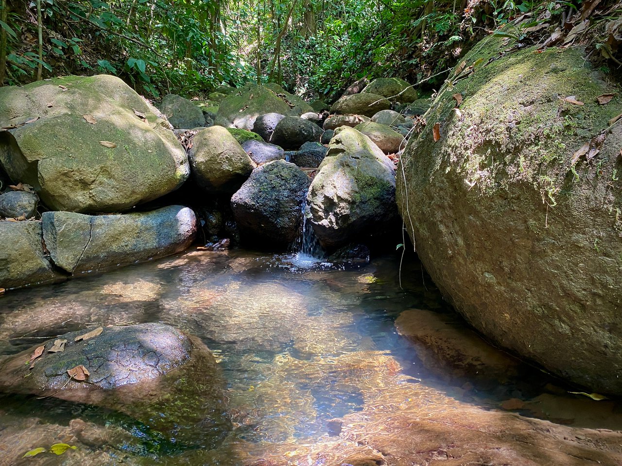 Charming 2-Bedroom Villa on 5 Acres with Creek Access and Income Potential