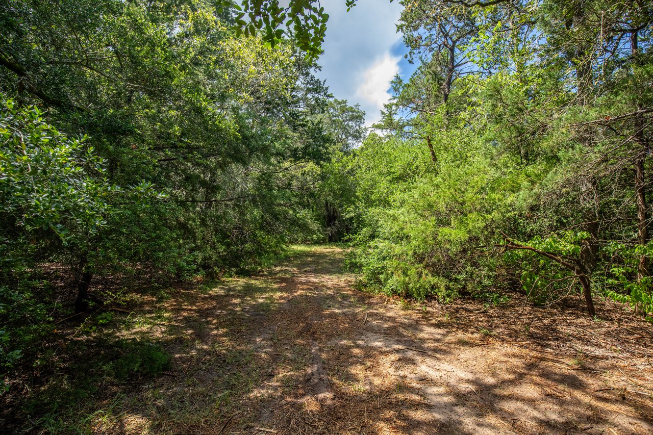 Post Oak Preserve | 18.115 ± Acres | Fayette County