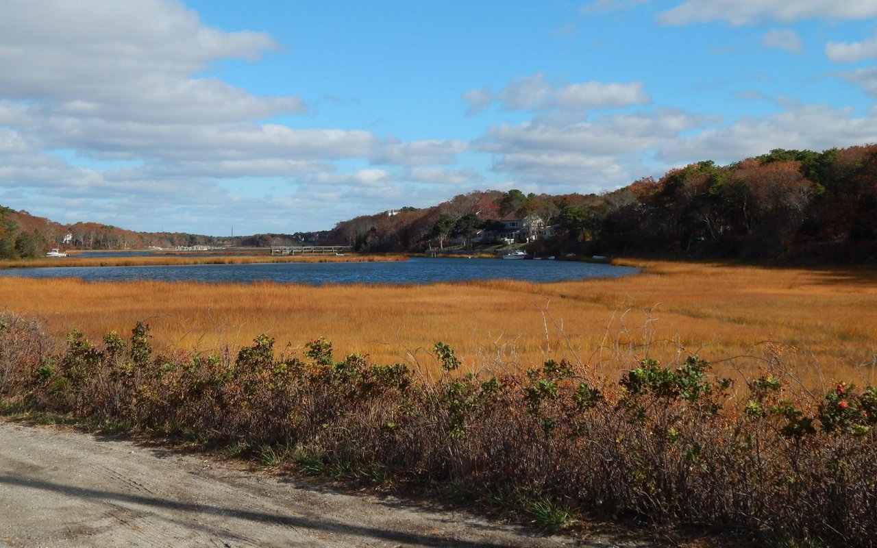 Mashpee
