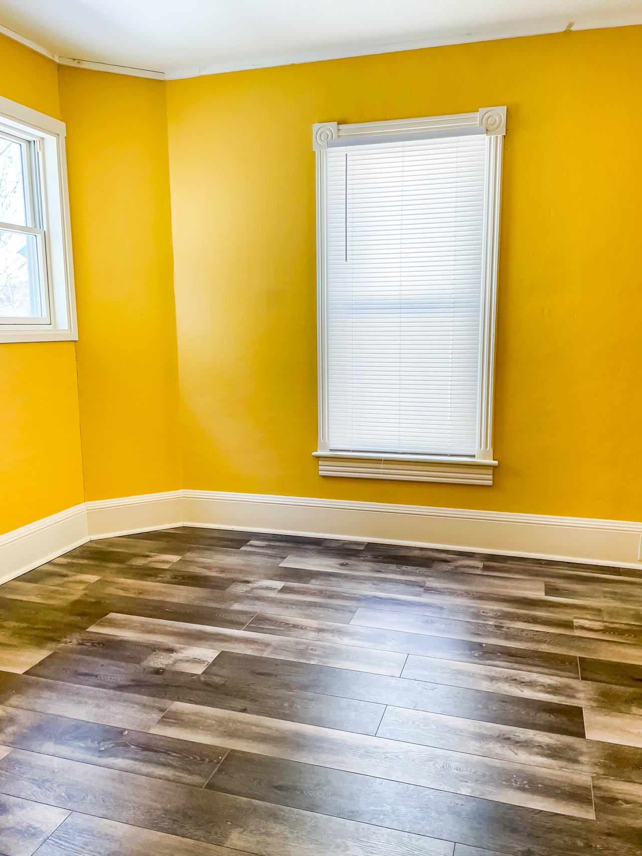 Rental Currently Available