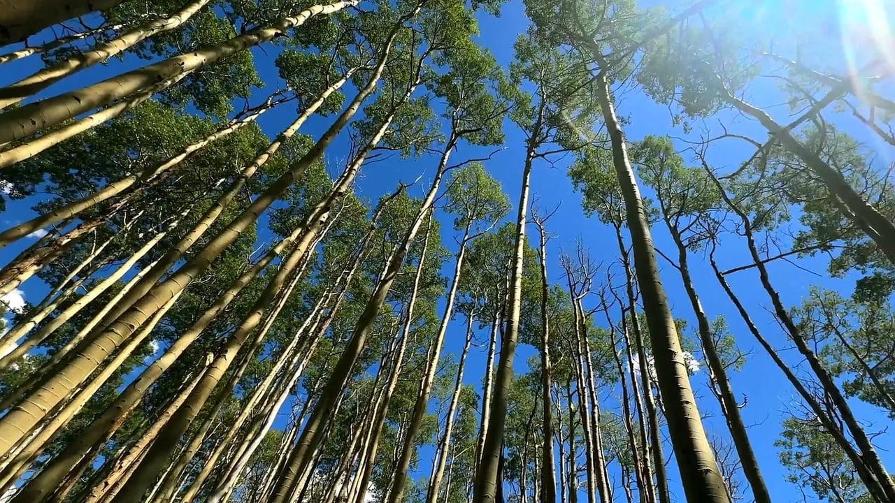 102 Cristinas Way #26,