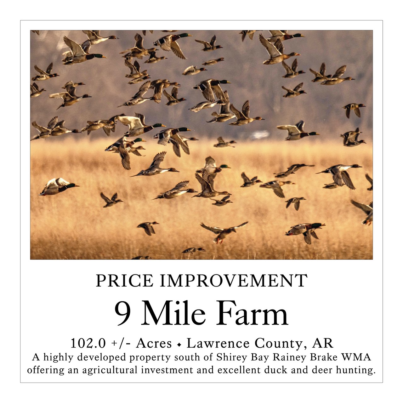 9 Mile Farm