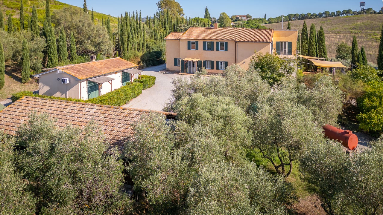 IL LEONE DEL FIORA