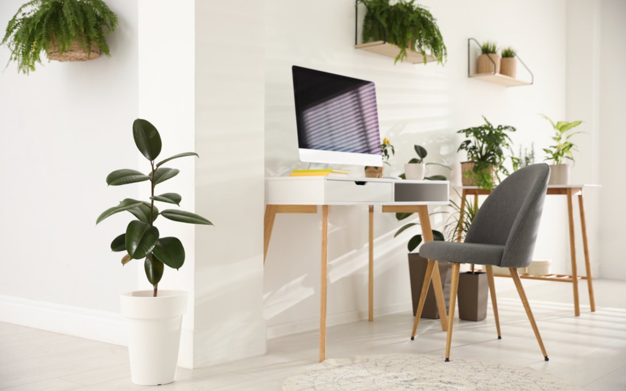 Shifting Tides: Formerly Stylish Home Trends That Have Faded Post-pandemic