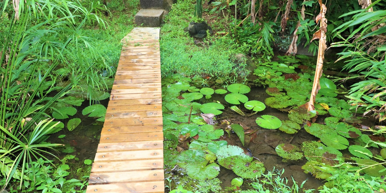 Riverfront Boutique Jungle Hotel, Ojochal, Puntarenas