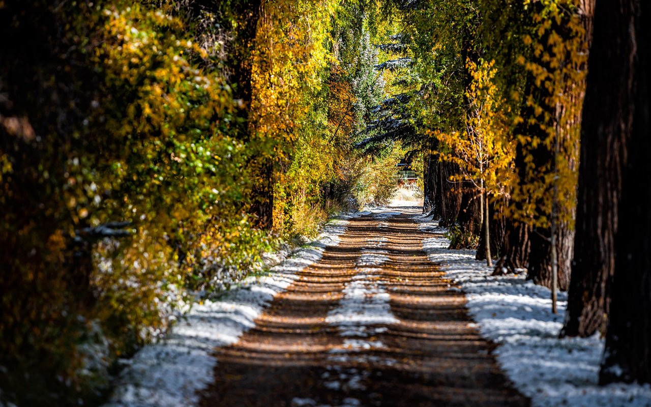 Cemetery Lane