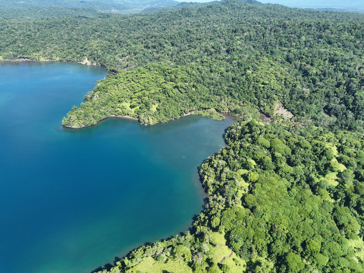 Jungle Islands — Los Mogos