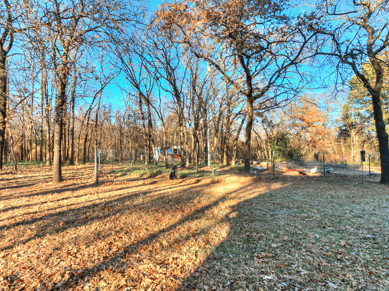 Just Listed: Ranch Home in the Heart of East Edmond