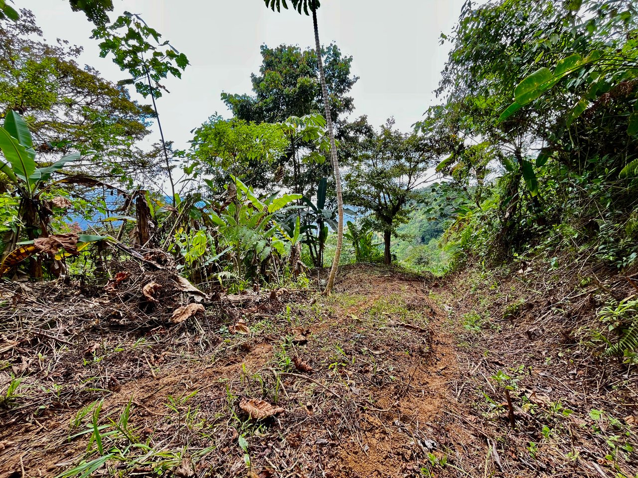 San Luis Ridgetop Ocean & Mountain View Property with Multiple Building Sites!