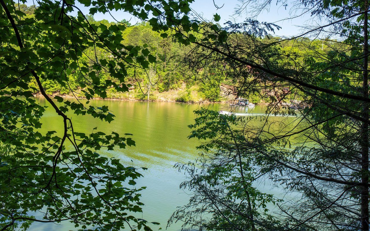 Cedar Bluff