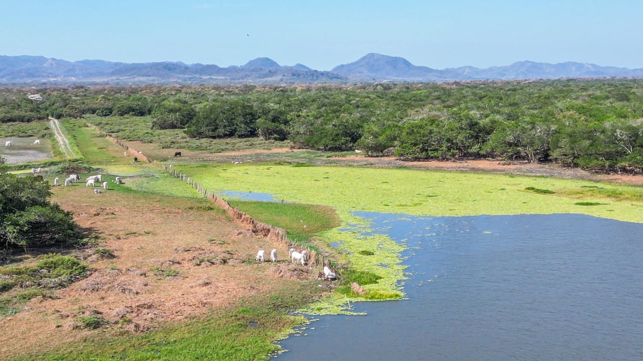 Prime 444-Acre Investment Opportunity 