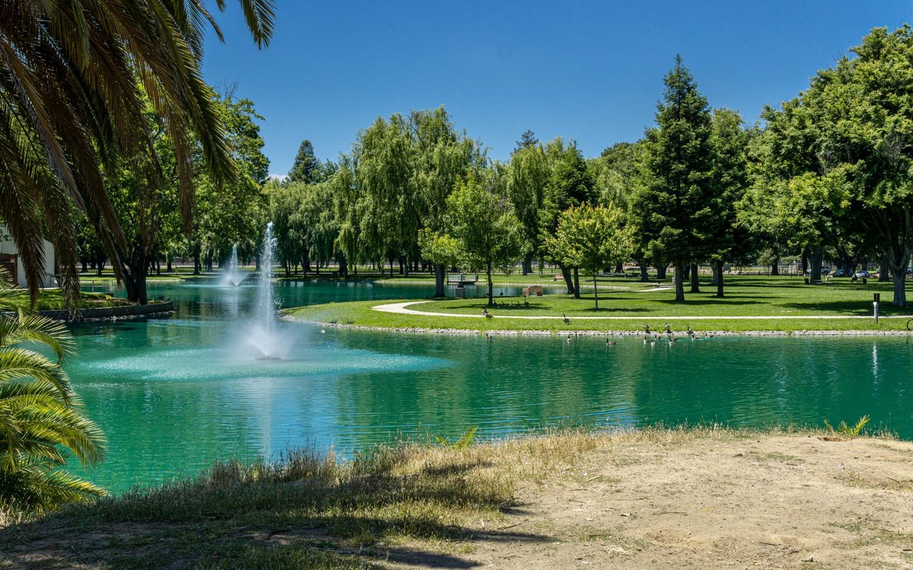 Elk Grove