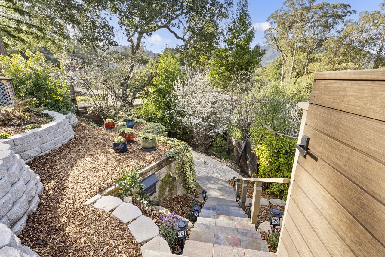 Modern Resort-Style Living in Mill Valley