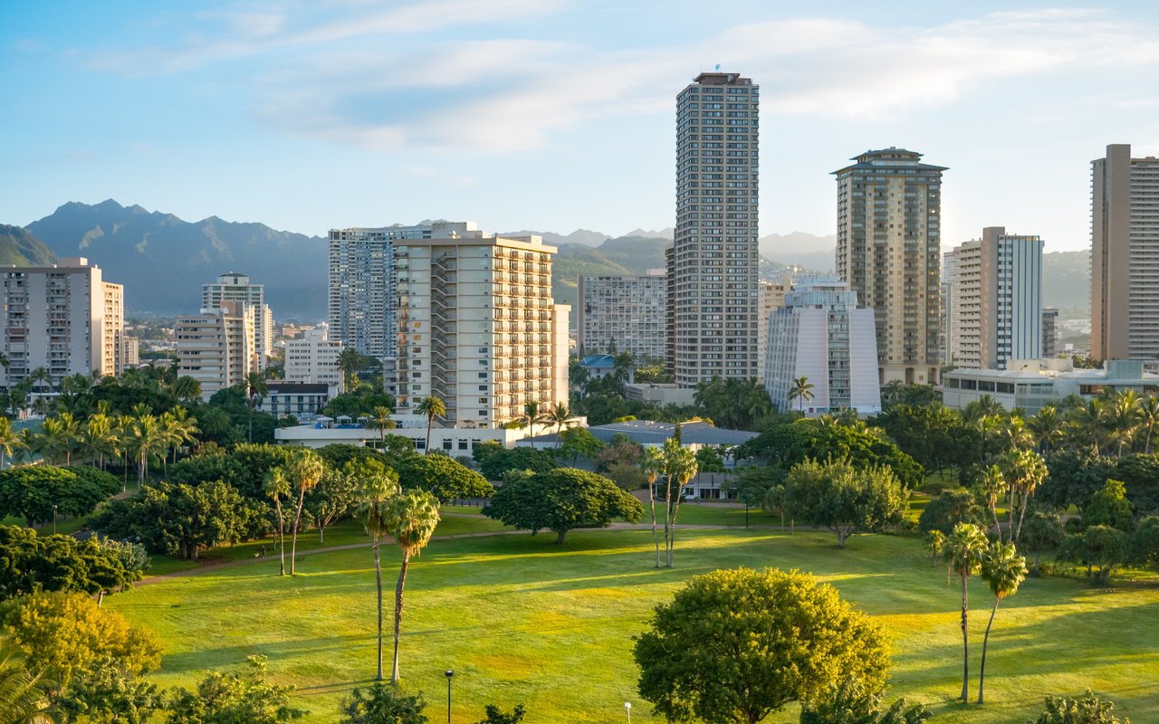 High-rise city skyline beyond a palm-lined park, with mountains in the distance.