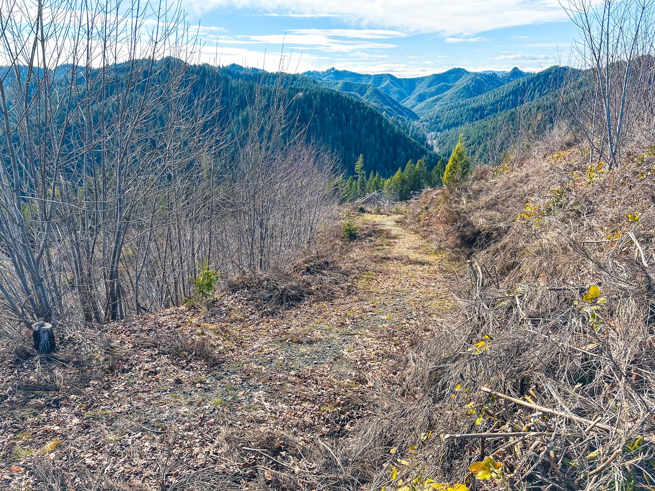 Smith River Back Woods