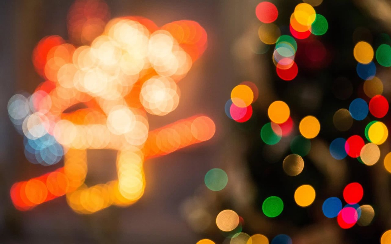 Giving Back this Holiday Season