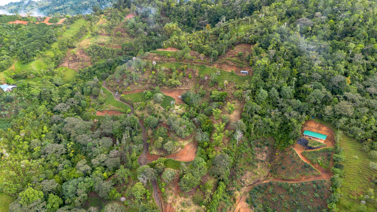 10.21 Acres with Views & Plantels – Pérez Zeledón
