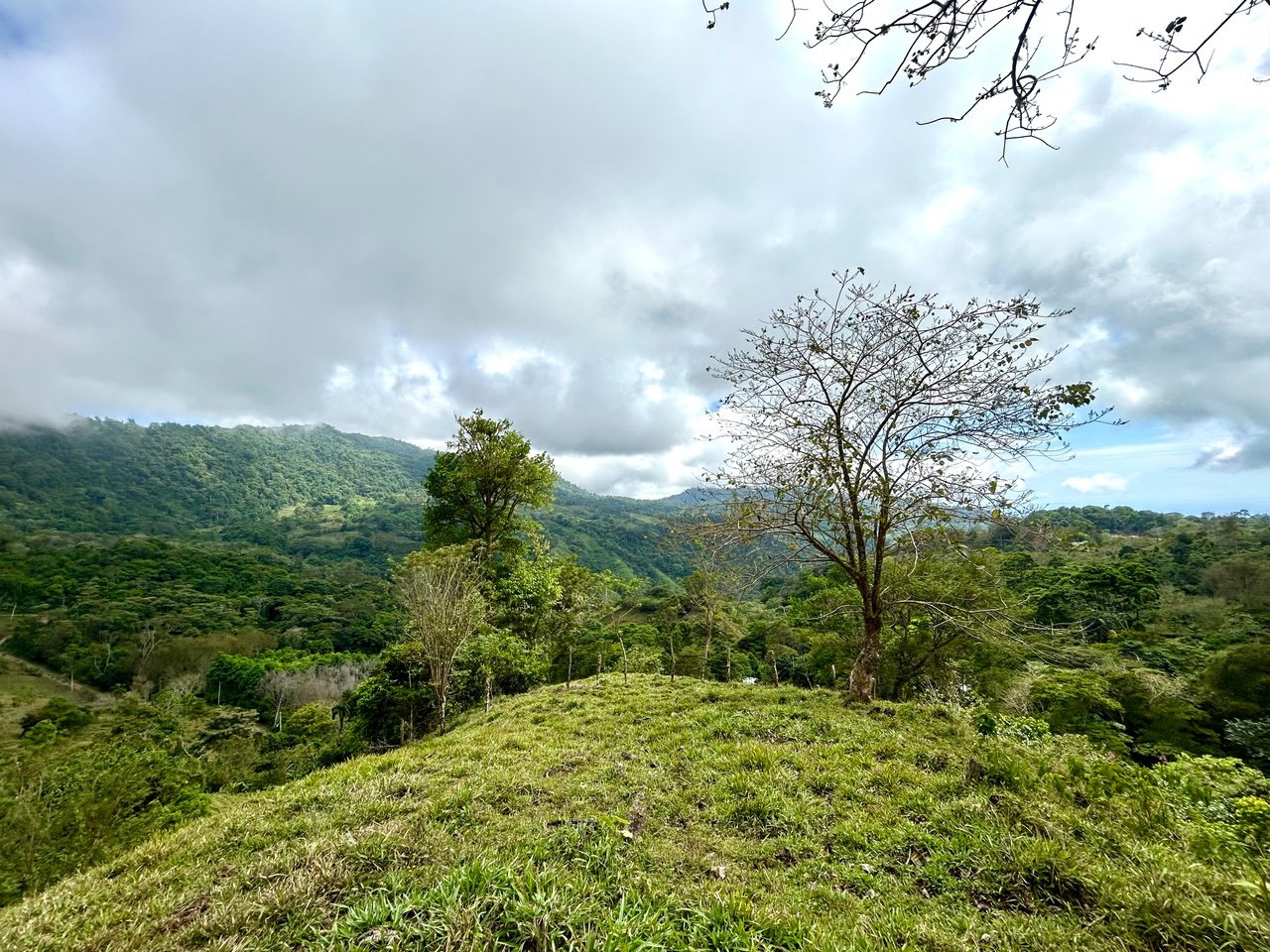 Gorgeous Land in San Luis Morete - Uvita - Over 17 Acres