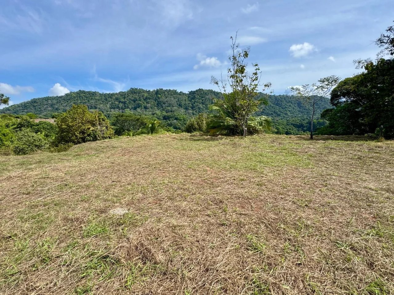 Prime Ridge Development Land, Dominical, Puntarenas
