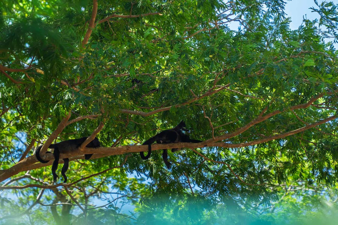 Casa Brasil | Gated Living Near Tamarindo + Golf Cart Included