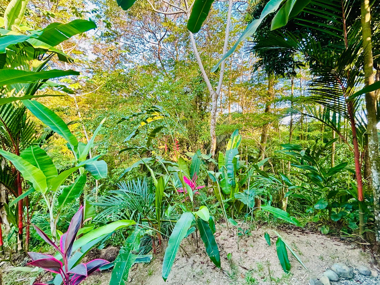 Tropical 2BR Home Near Playa Hermosa Beach | Successful Airbnb Rental in Uvita