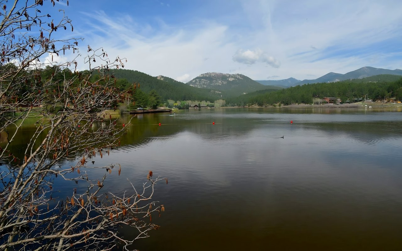 Revitalizing Evergreen