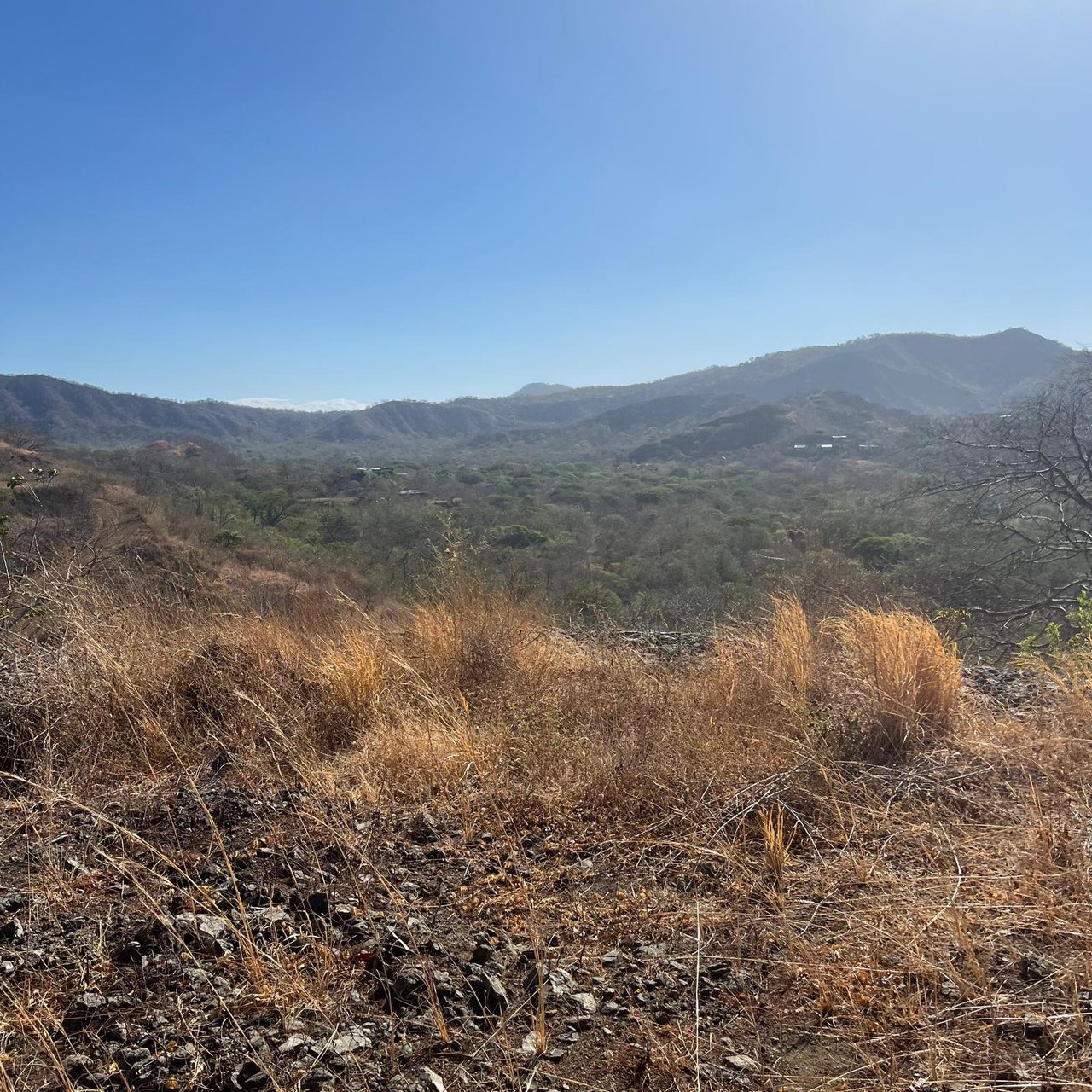 Lot 59 – La Marcela | Tranquil Jungle Ocean View Homesite in Potrero