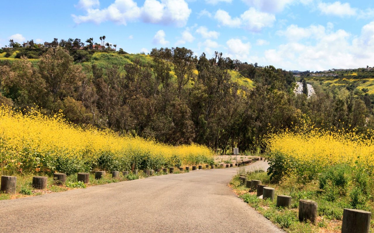 Aliso Viejo