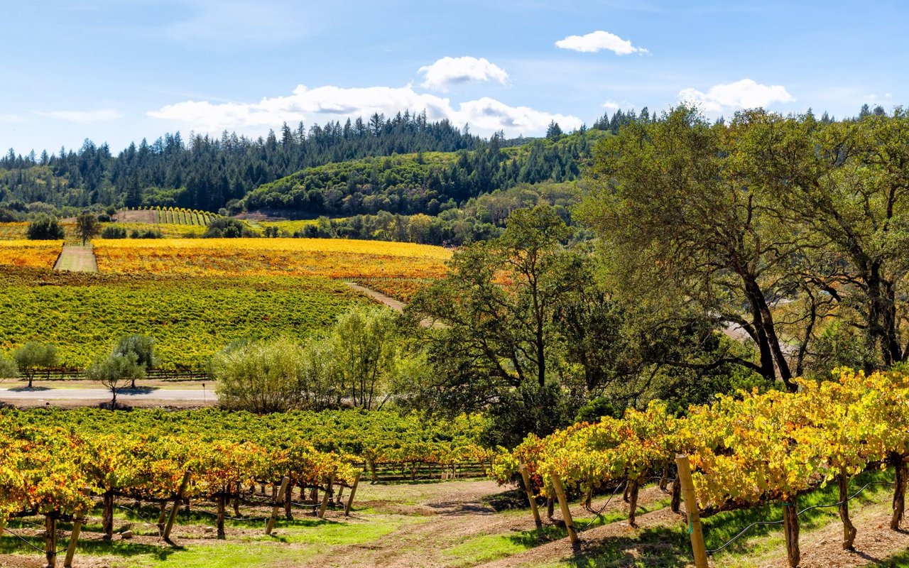 Sonoma County