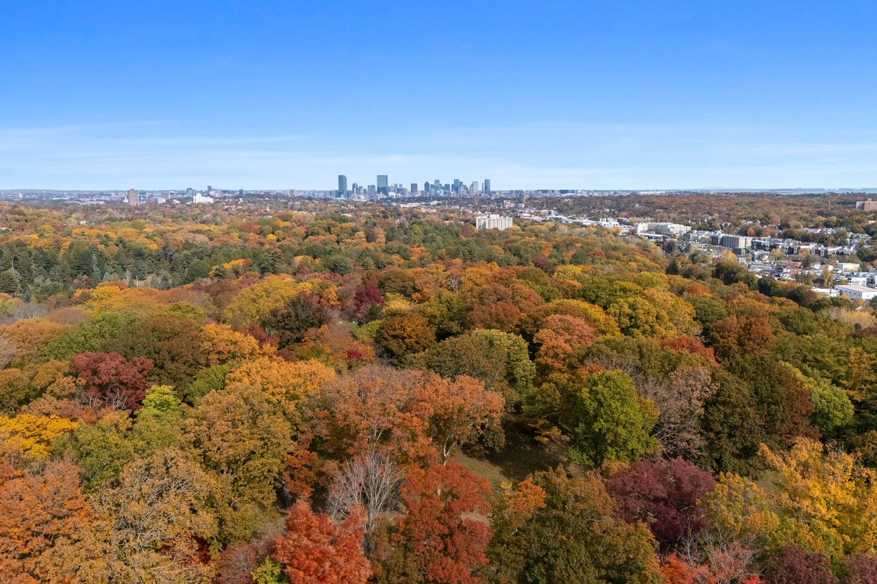 A Rare Two-Family Generational Asset with a Private Entrance to the Arnold Arboretum