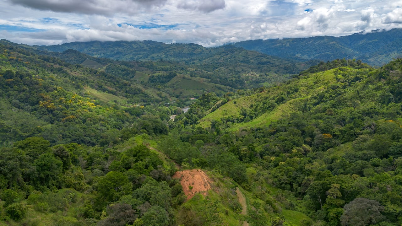 60 Hectares in Platanillo 