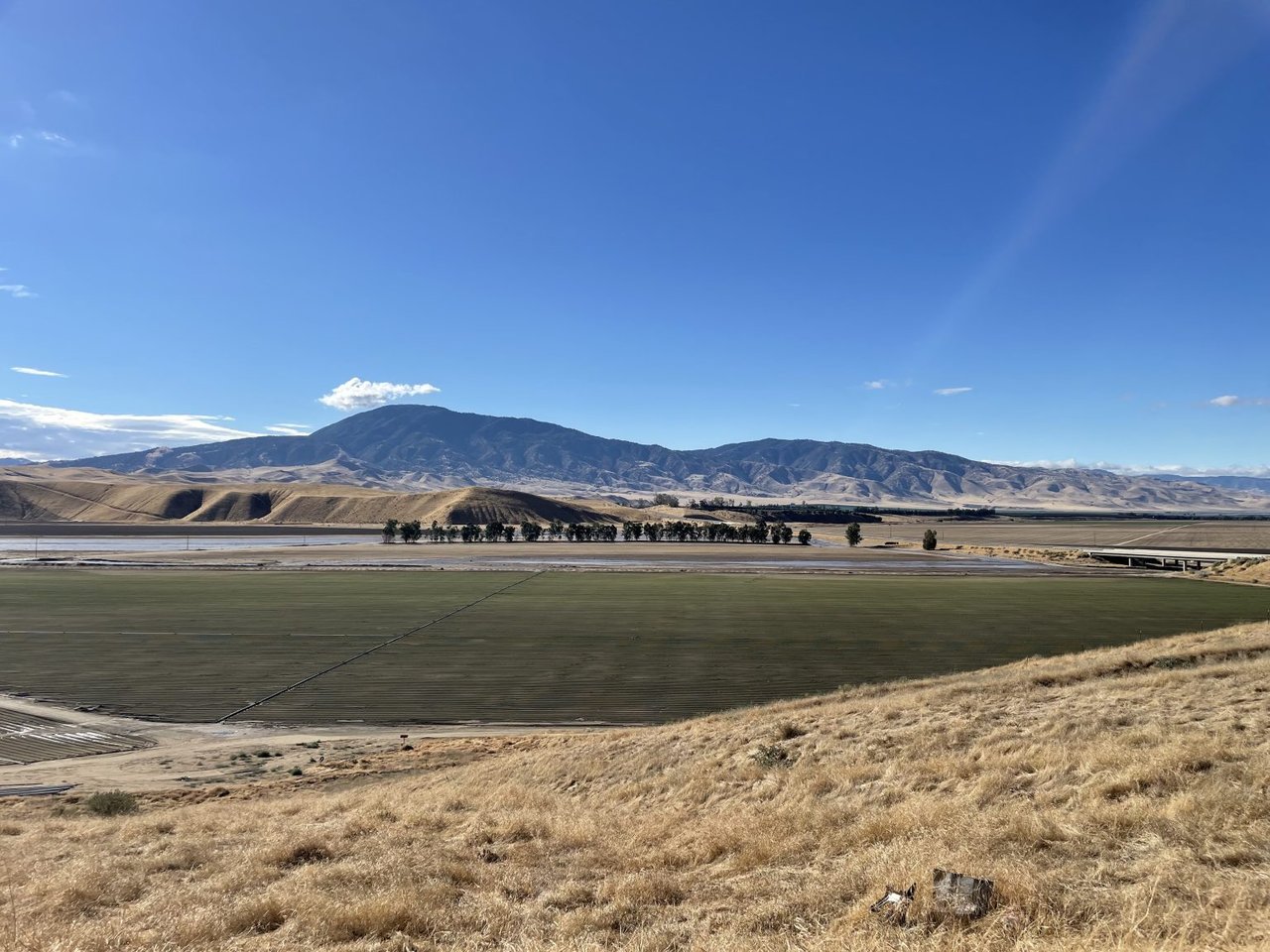 1,075.81 +/- Acres of Citrus, Open Farmland and Rangeland in AEWSD