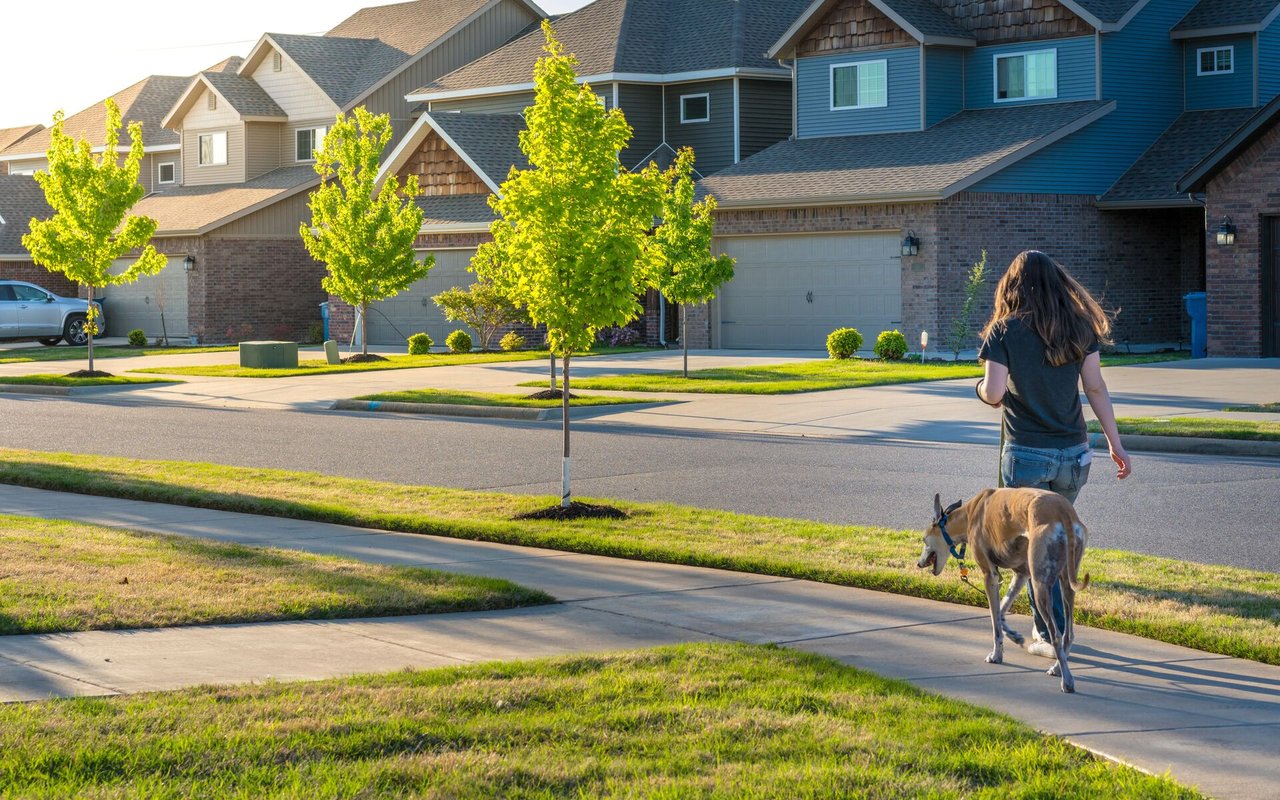The Pet Owner's Guide To Selling A Home: 5 Things To Do To Prepare Your Property