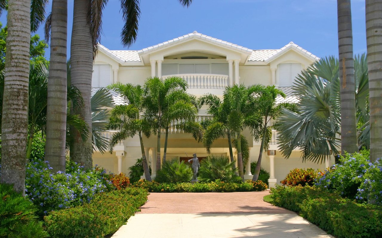 Grand Orchid
