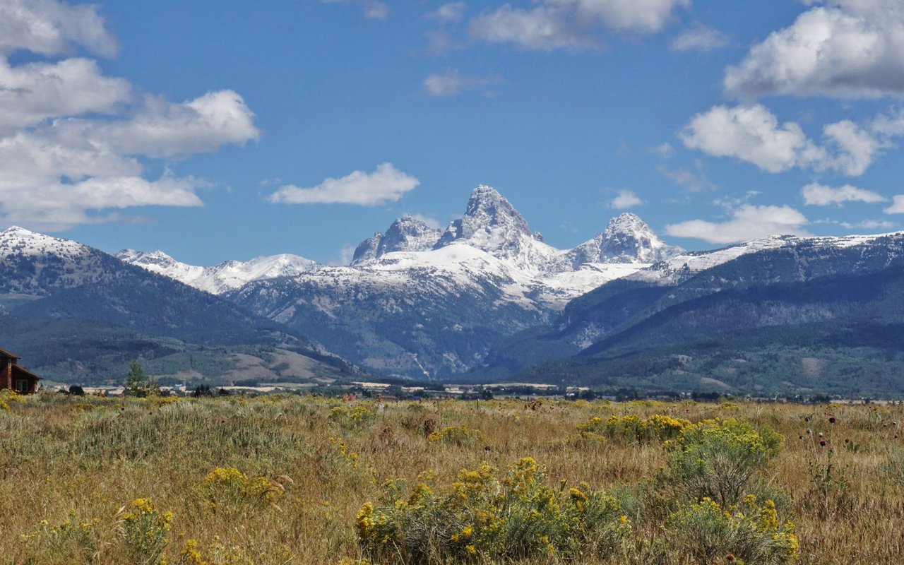 Teton County