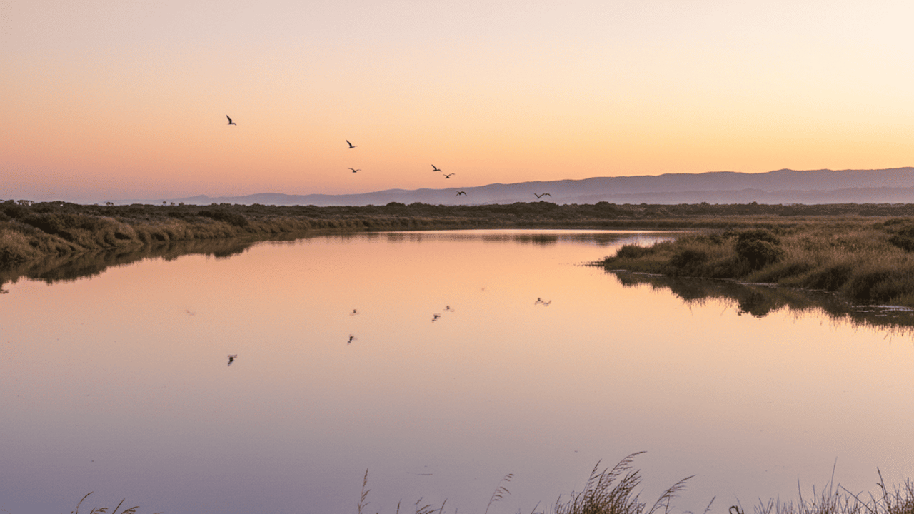 The Rich History of Encinitas, CA