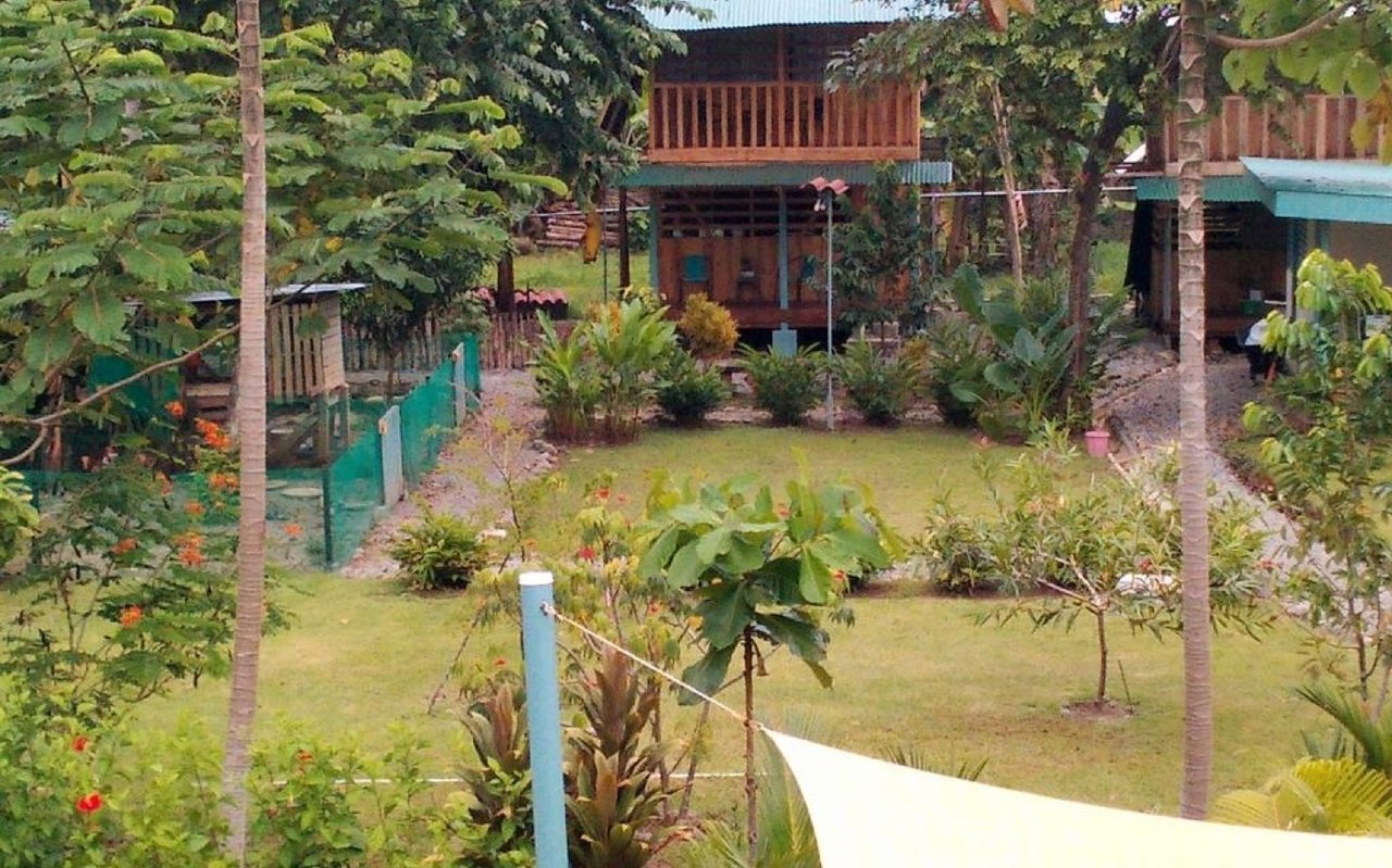 Investment Opportunity! Eco-Friendly Rental Property Near Playa Chaman and Playa Colonia