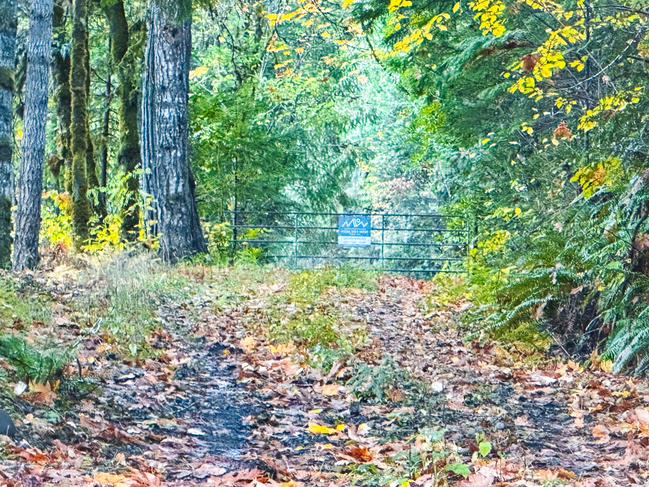 La Duke Woods