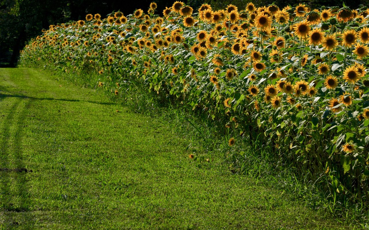 The Allure of Small-Town Living: Discover the Benefits